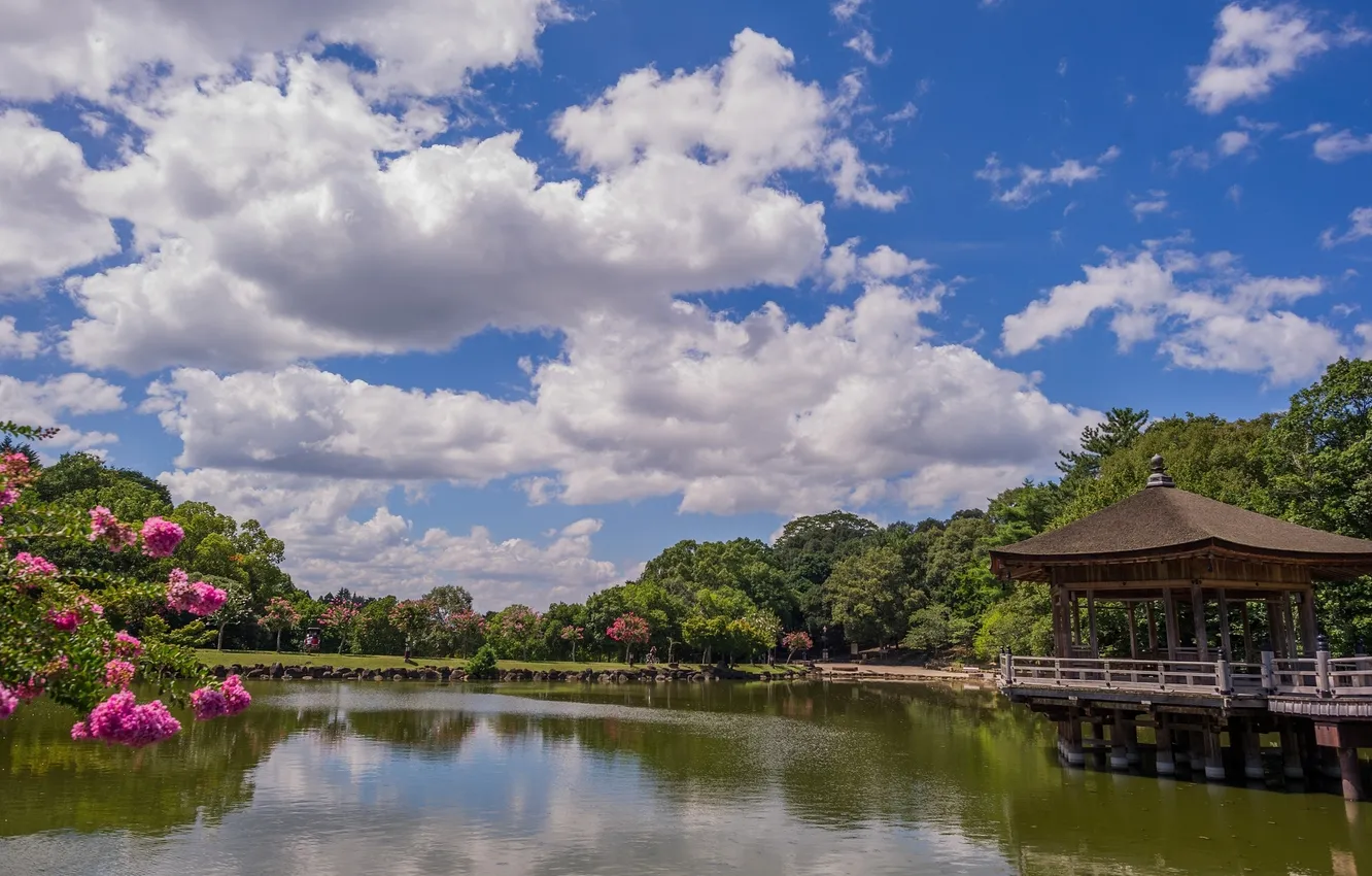 Nara Park